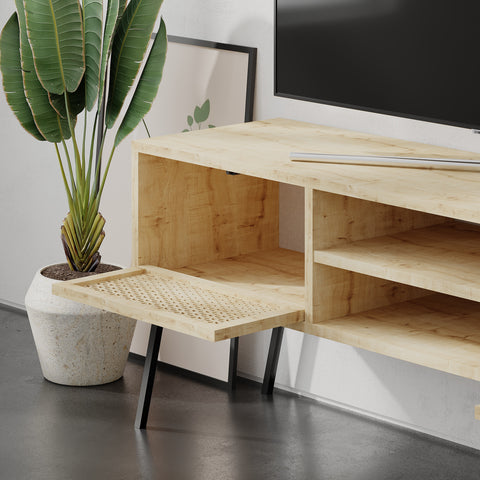 Abbott Tv Stand